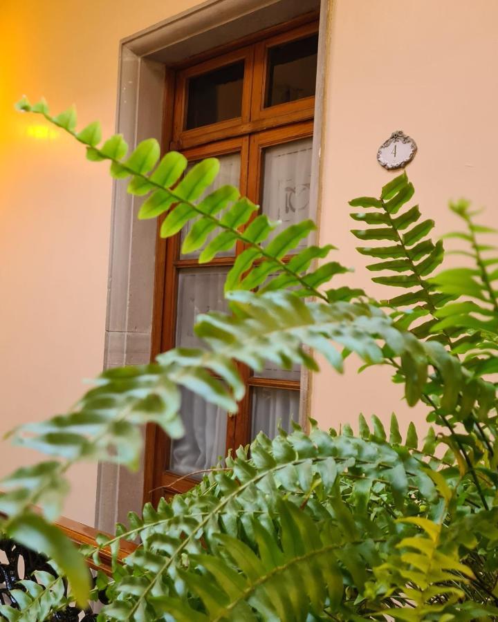 Boutique Casa De Manrique *